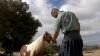 From acrobat to animal rescuer: A South Bay ranch owner's remarkable journey