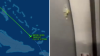 US airlines cancel flights to Haiti after Spirit plane hit by gunfire