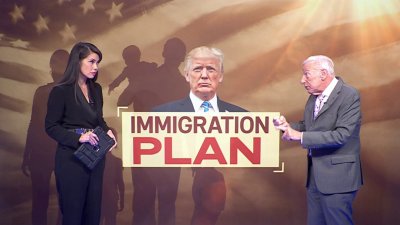 Political analysis: Donald Trump's immigration plan