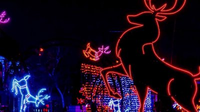 Experience San Jose's Christmas in the Park in the comfort of your own car