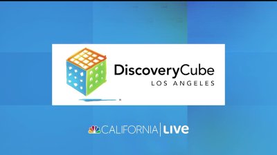 Illuminate Your Holidays at Discovery Cube's Winter Lights experience!