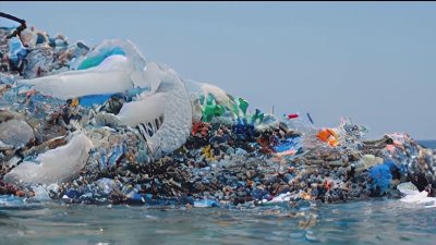 A closer look: Plastic pollution