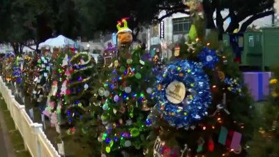 Christmas in the Park officially opens in Downtown San Jose