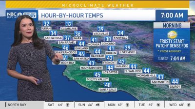 Cinthia's forecast: Frost and fog