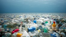 More than 70 million metric tons of plastic waste are expected to be dumped throughout the world this year alone, according to researchers at UC Berkeley and UC Santa Barbara.  That's enough to fill 3.5 millon dump trucks, and the pile of plastic is expected to double by 2050.