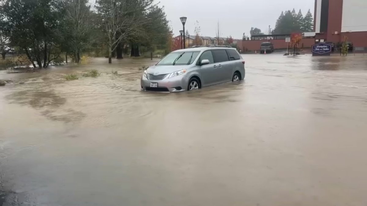 Roads flooded, trees down in the North Bay as atmospheric river storm ...