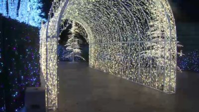 Enchant Christmas light maze returns to Paypal Park