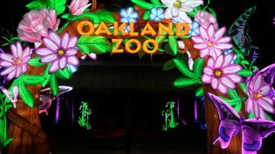 Oakland Zoo's Glowfari returns for the holidays