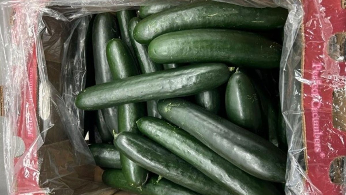 Sunfud SunFed recalls cucumbers in US and Canada – NBC Bay Area