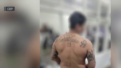 MS-13 gang member from El Salvador arrested at US-Mexico border: CBP