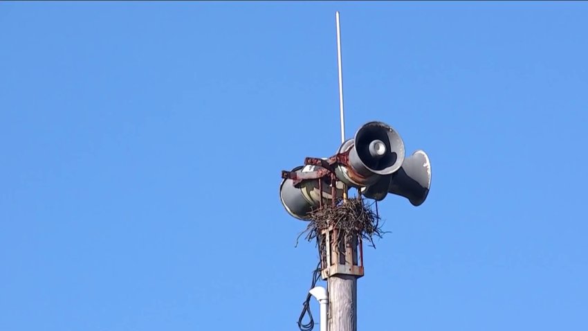 San Francisco siren