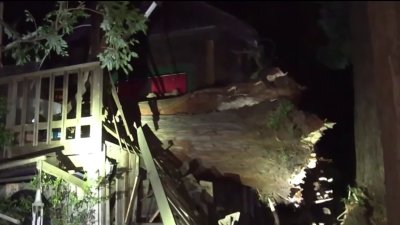 Strong winds send trees crashing down into 2 Berkeley houses