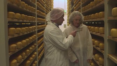 Oprah's endorsement a holiday gift to Bay Area cheese company