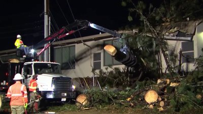 Tornado touches down in Santa Cruz County, several injured