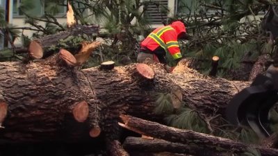 5 injured, roadways reopen following Scotts Valley tornado