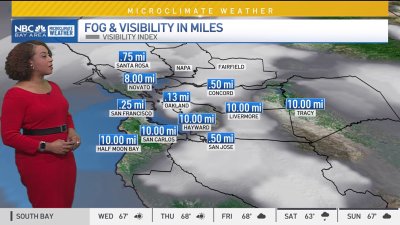 Kari's forecast: Fog clearing, mild day