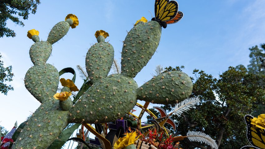 A cactus with butterflies made of flowers for a float in the Pasadena Rose Parade, with blue sky in the background.