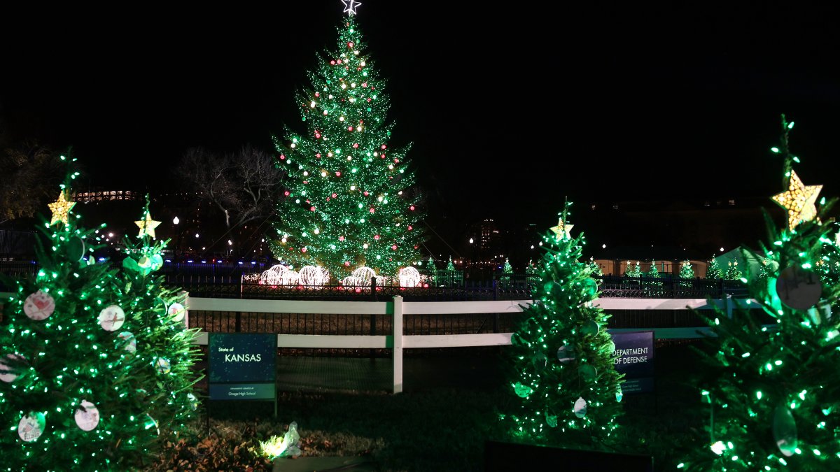 Biden lights National Christmas Tree outside White House NBC Bay Area