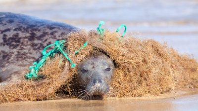 UN treaty to ‘end plastic pollution' stalls amid calls to cap production