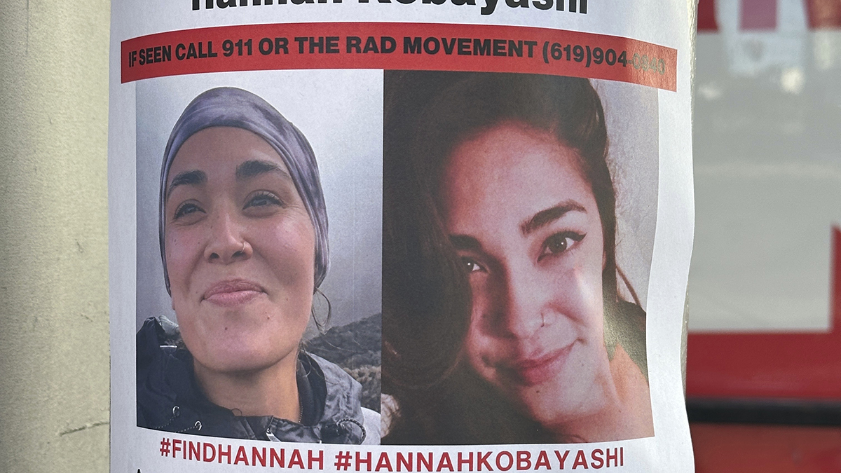 Hannah Kobayashi The Game Changer Everyones Raving About - r45ct06