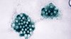 Why norovirus is so hard to kill: Here's how to protect yourself from ‘the perfect pathogen'