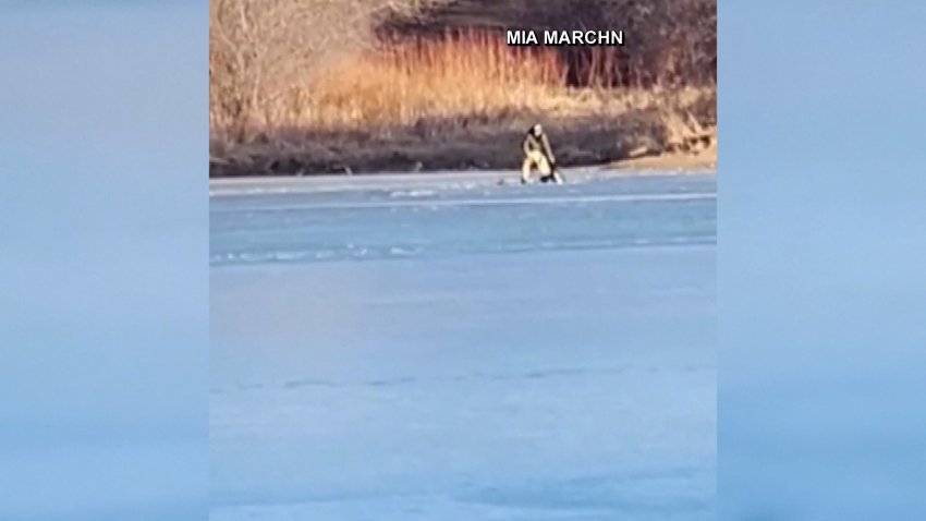 A man being pulled out of the ice in a frozen lake.