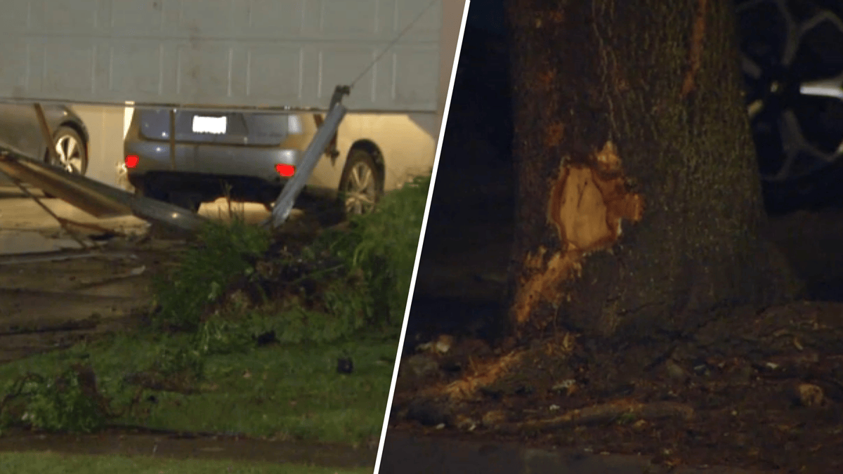2 dead in Fremont after car slams into tree, house – NBC Bay Area