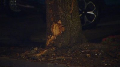 2 dead in Fremont after car slams into tree, house