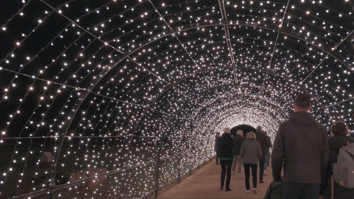 bay-area-holiday-events-guide-2024-nbc-bay-area