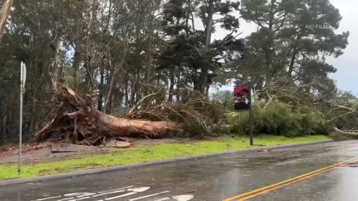 Crews in SF continue cleanup after weekend storm – NBC Bay Area