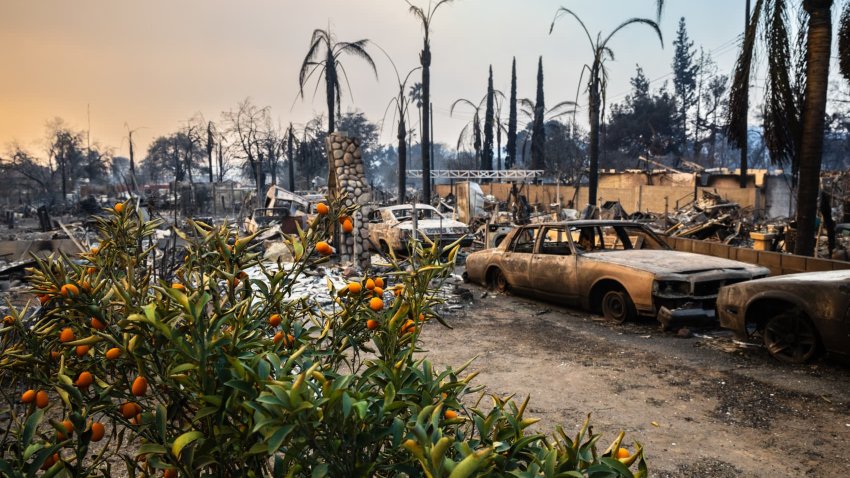 Burned cars and homes destroyed by the Eaton Fire are pictured in Altadena, California, on Jan. 9, 2025.