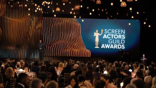 Idris Elba photographed during the 30th Screen Actors Guild Awards