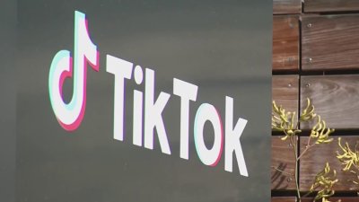 Supreme Court to hear arguments on fate of TikTok