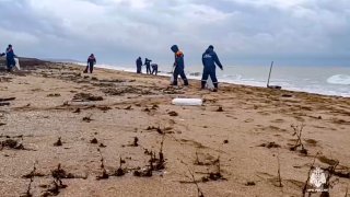 rescuers work to clean up tons of fuel oil on the beach