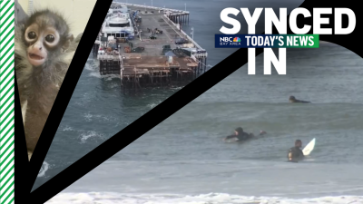 In the news: High surf advisory, Santa Cruz wharf to reopen Saturday, rescued spider monkey