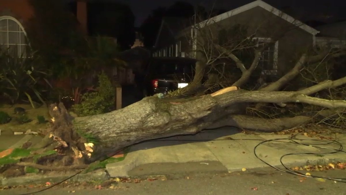 Bay Area wind advisory: Strong gusts topple trees, power lines – NBC ...