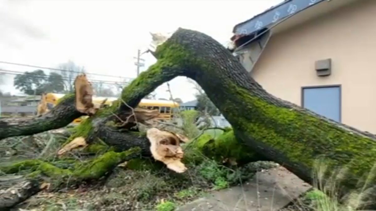 Bay Area storm updates: Flood warning in North Bay – NBC Bay Area