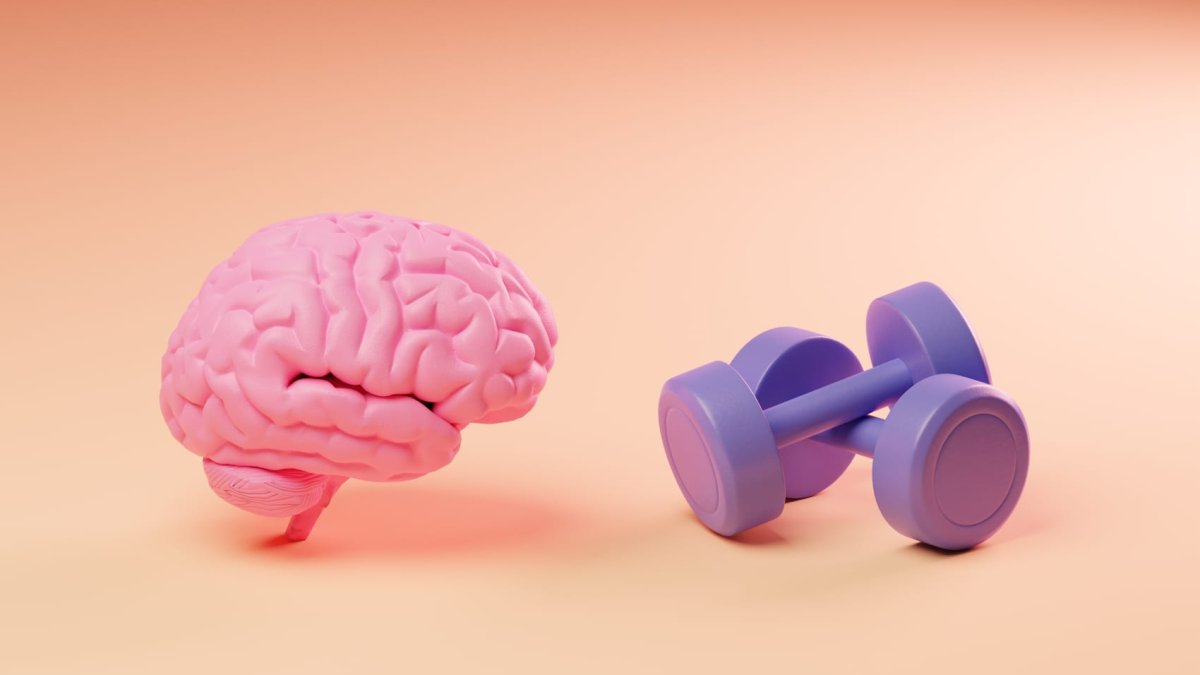 I have been studying the brain for 15 years – I recommend these 5 supplements to almost everyone – NBC Bay Area