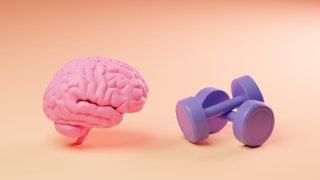 [CNBC] I’ve been studying the brain for 15 years—I take these 5 supplements every day for sharper memory