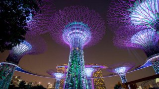 A night view of Singapore’s “Supertrees,” a collection of sustainable vertical gardens at the city’s Gardens by the Bay.