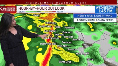 Cinthia's forecast: Rain and wind