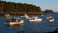 Fishing boats