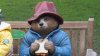 Paddington Bear statue stolen in England, judge scolds thieves as ‘antithesis' of beloved character