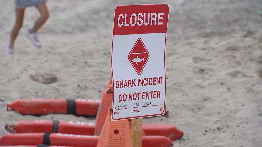 A sign on the beach alerting of sharks.