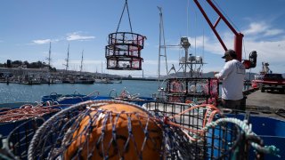 Pop-up gear, meant to prevent whale entanglements while crab fishing, front, sits on Pier 45 as James Sanders loads crab traps onto the boat Pale Horse in San Francisco, Thursday, April 10, 2025. (AP Photo/Emily Steinberger)