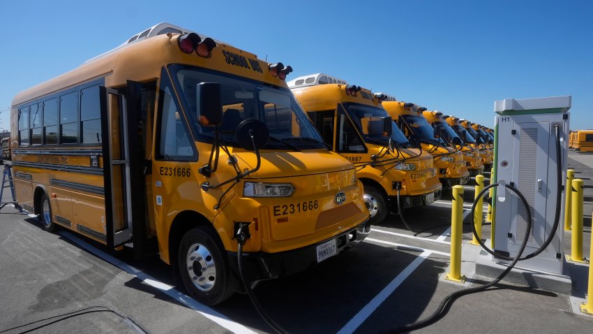Zum electric buses are plugged into charging stations.