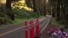 Community members push to close Marin County road following deadly crash