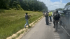 Runaway kangaroo named Sheila shuts down Alabama interstate