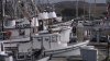 New study paints gloomy picture of climate change's impact on commercial fishing