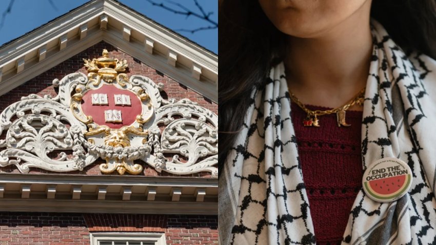 “I don’t feel safe at all being around protests and voices, which actually kills me from the inside,” one Harvard student said.